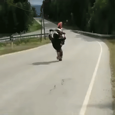 Acid Gifdump, December 6 (25 gifs)