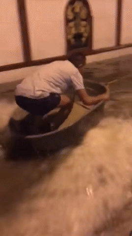 Acid Gifdump, December 6 (25 gifs)