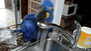 Acid Gifdump, December 6 (25 gifs)