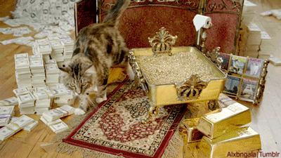 Acid Gifdump, December 6 (25 gifs)