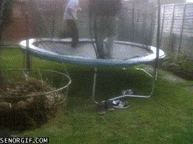Acid Gifdump, December 6 (25 gifs)