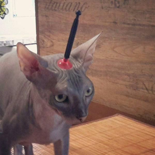 Acid Picdump. Part 2 (131 pics)