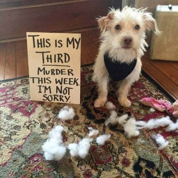 Acid Picdump. Part 2 (131 pics)