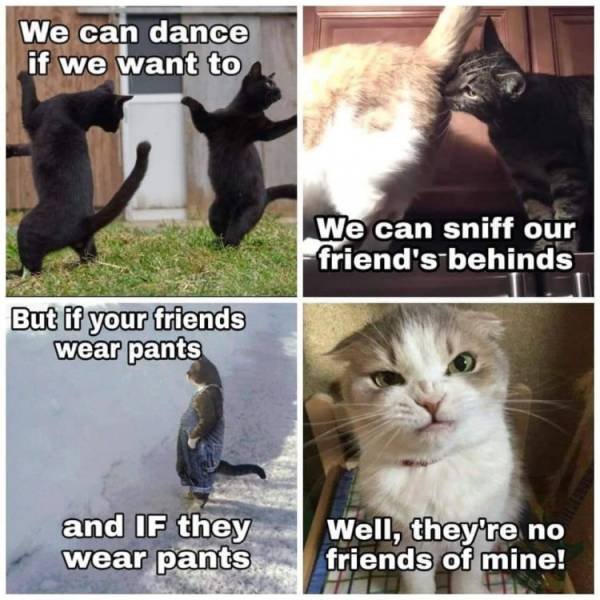 Acid Picdump. Part 2 (131 pics)