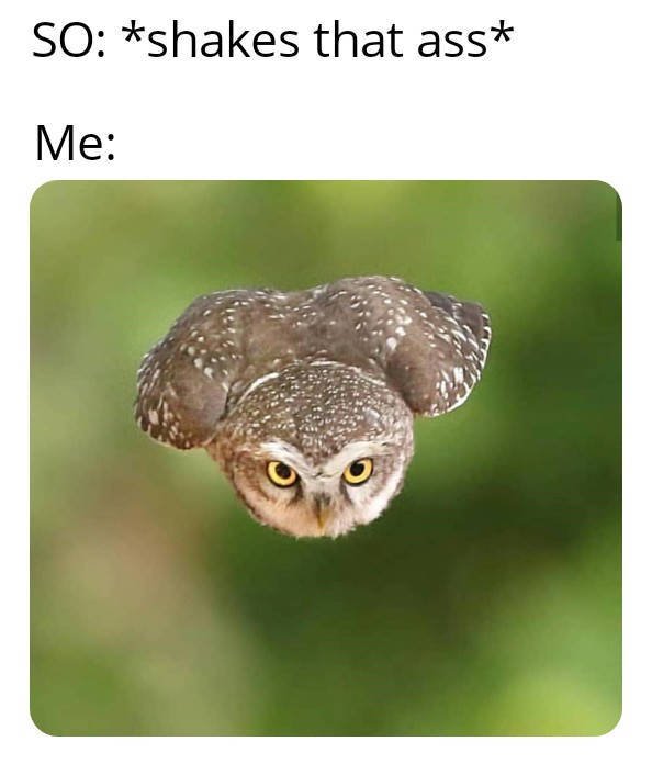 Relationship Memes For A Good Smile (30 pics)