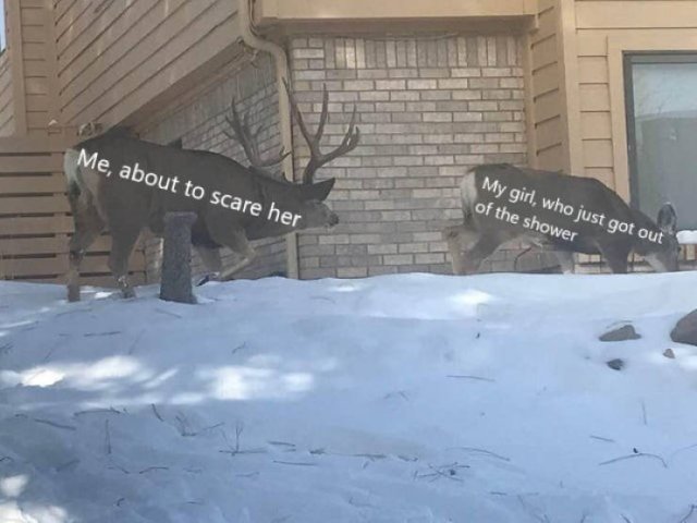 Relationship Memes For A Good Smile (30 pics)
