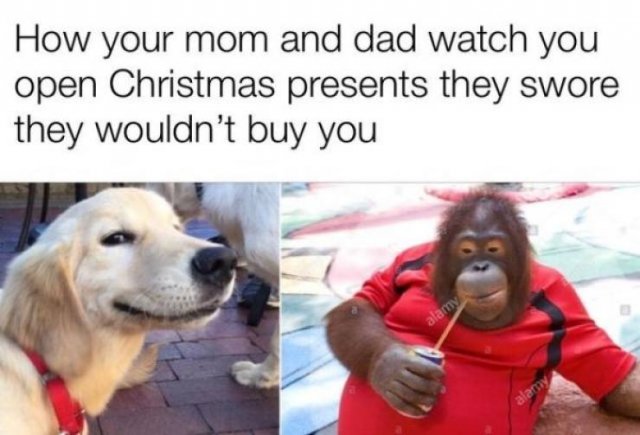 Funny Gift Memes (31 pics)