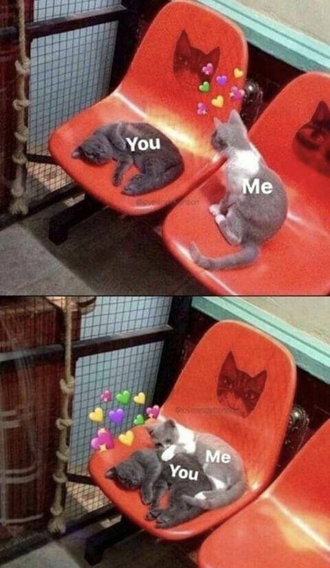 Relationship Memes For A Good Smile (30 pics)