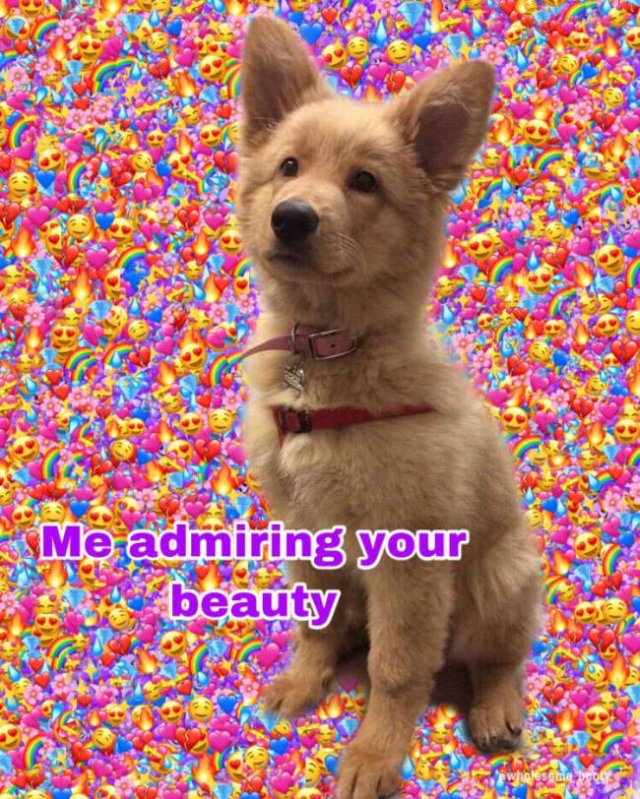 Relationship Memes For A Good Smile (30 pics)