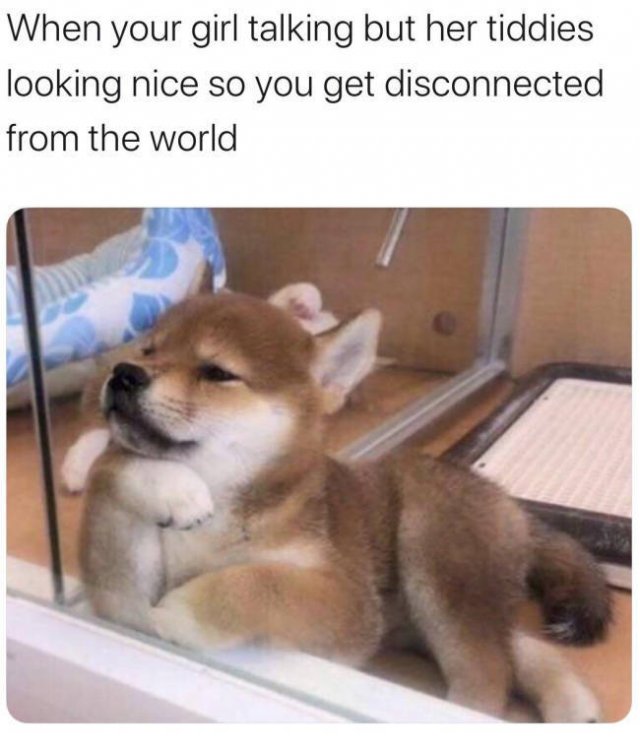 Relationship Memes For A Good Smile (30 pics)