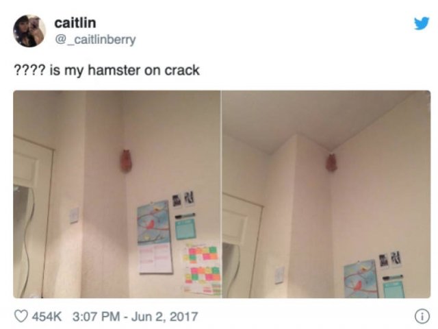 Funny Tweets From The Last 10 Years (53 pics)