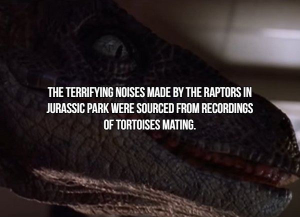 Movie Facts (16 pics)