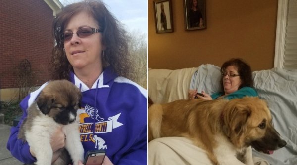 Dogs Grow Up So Fast (25 pics)