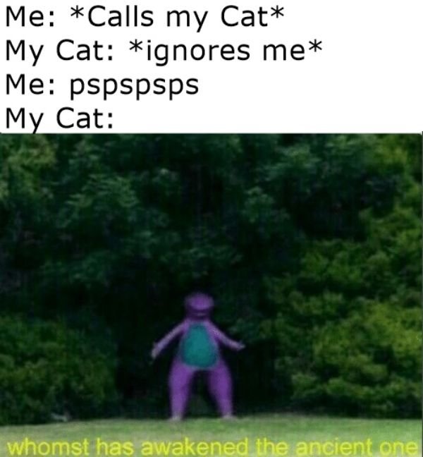 Funny Memes (50 pics)