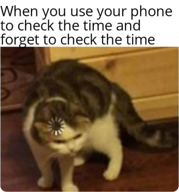Funny Memes (50 pics)