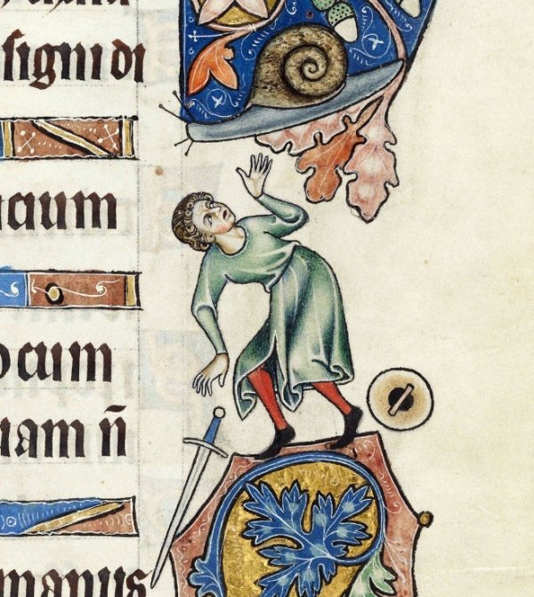 Medieval Snails Aren't So Cute (24 pics)