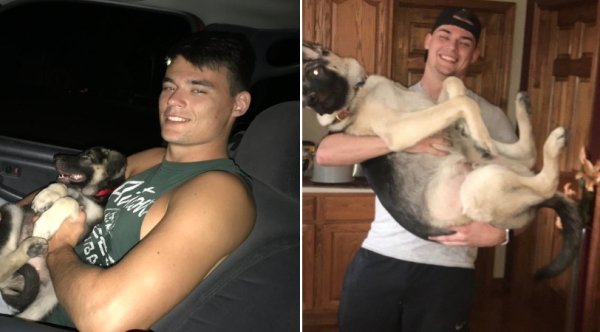 Dogs Grow Up So Fast (25 pics)