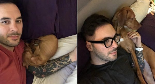 Dogs Grow Up So Fast (25 pics)