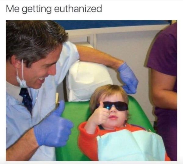 Funny Memes (50 pics)