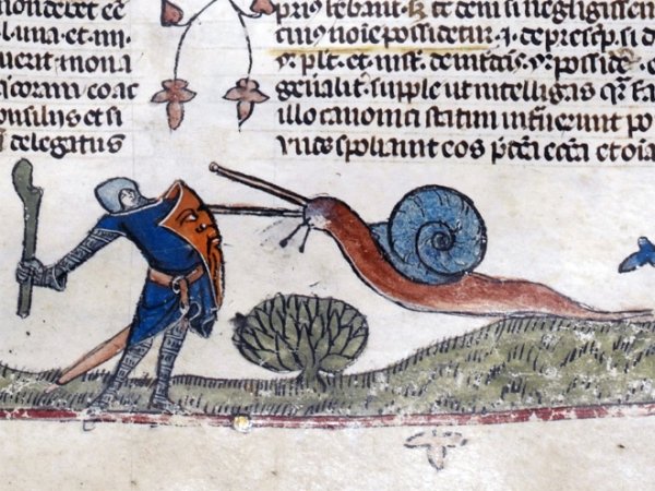 Medieval Snails Aren't So Cute (24 pics)