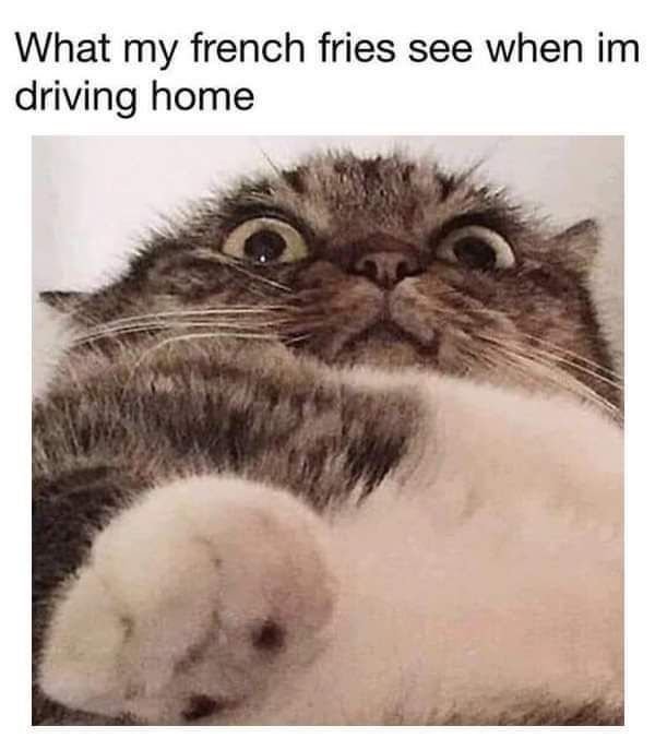 Funny Memes (50 pics)
