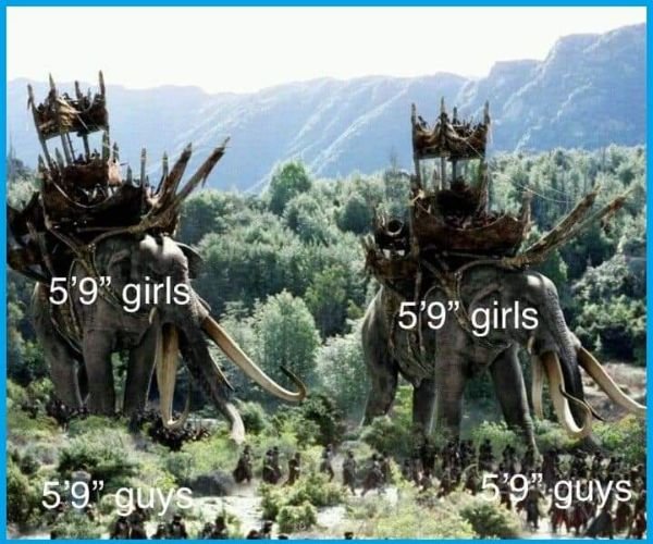 Funny Memes (50 pics)