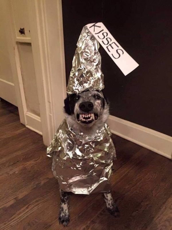 Funny Memes (50 pics)