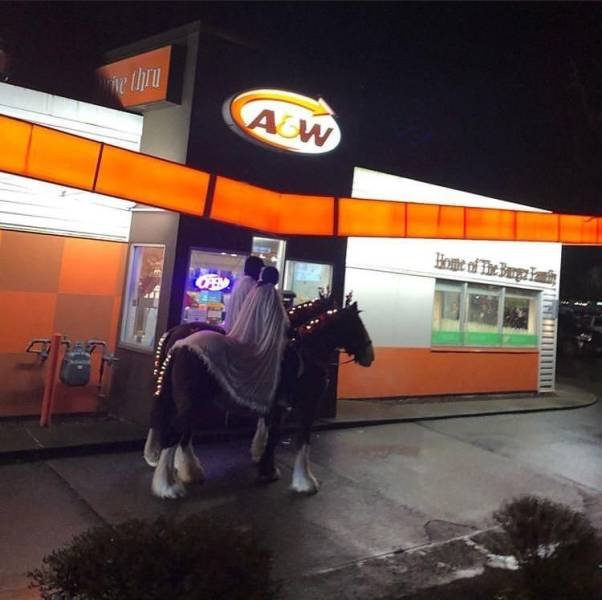 Acid Picdump. Part 1 (73 pics)