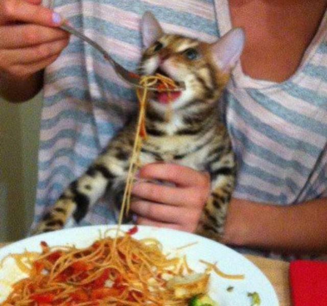 Acid Picdump. Part 1 (73 pics)