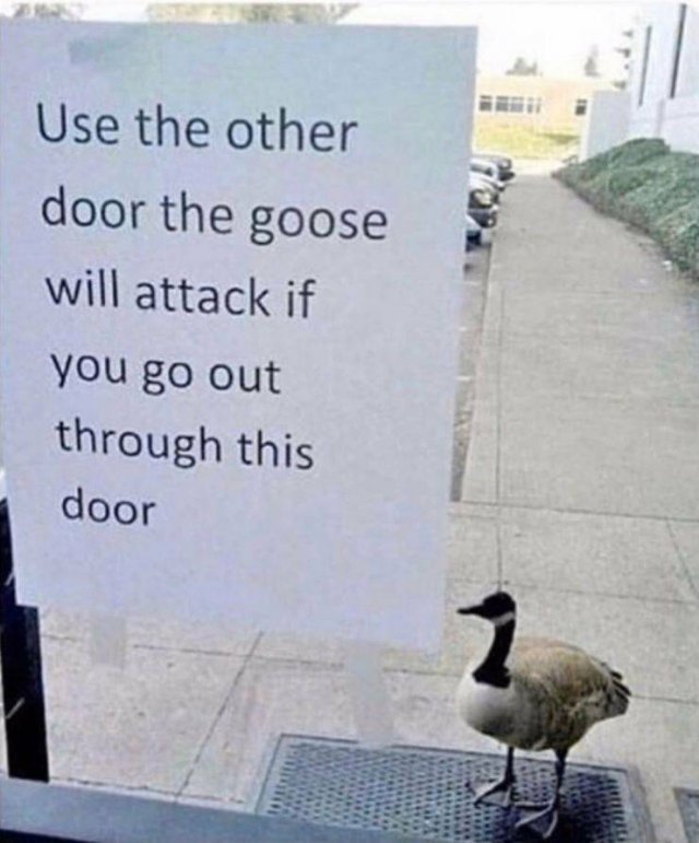 Acid Picdump. Part 1 (73 pics)
