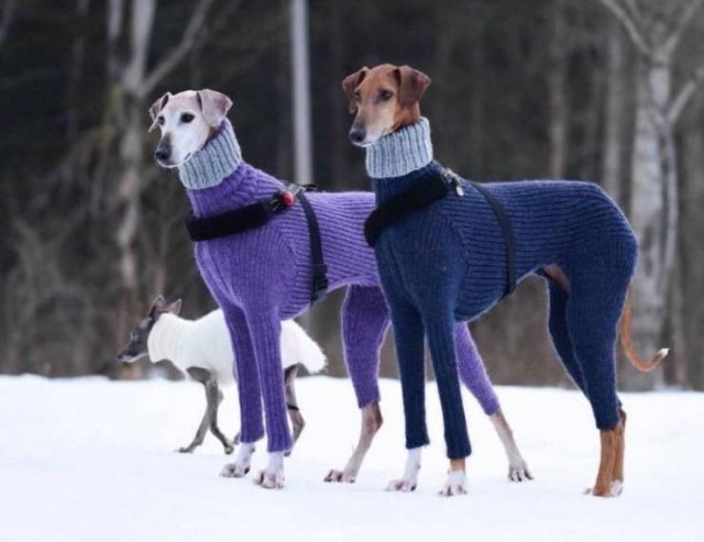 Acid Picdump. Part 1 (73 pics)