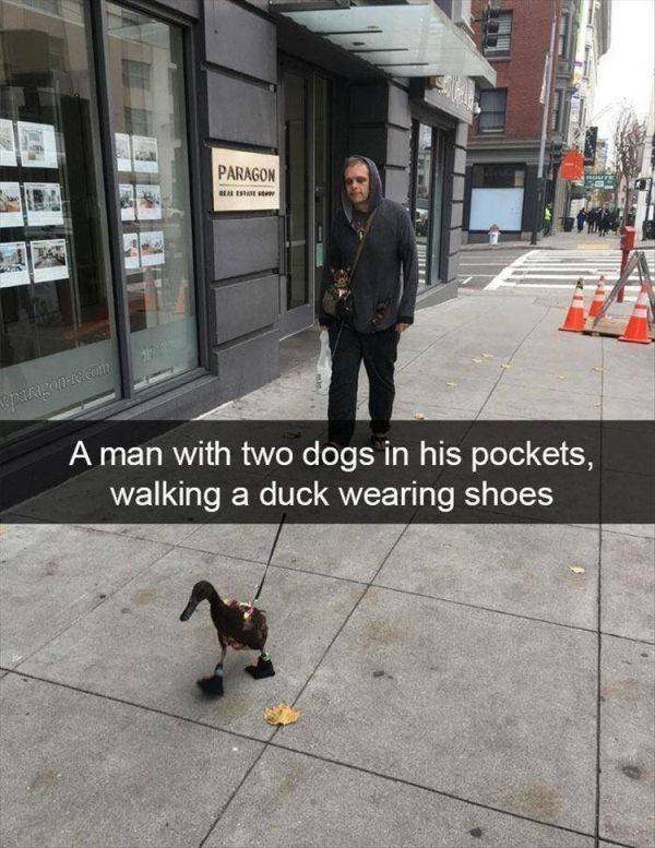 Acid Picdump. Part 1 (73 pics)