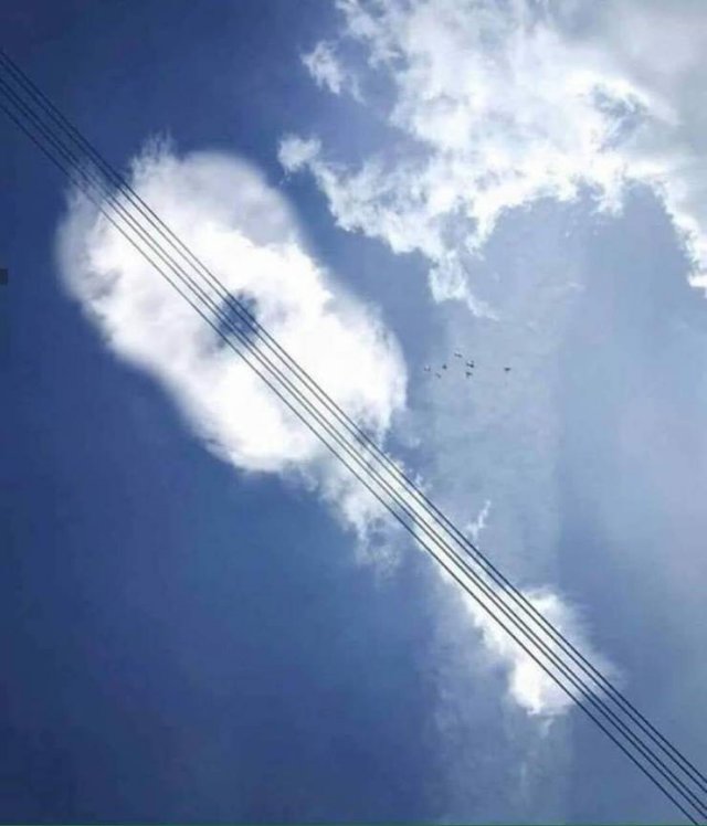 Acid Picdump. Part 1 (73 pics)