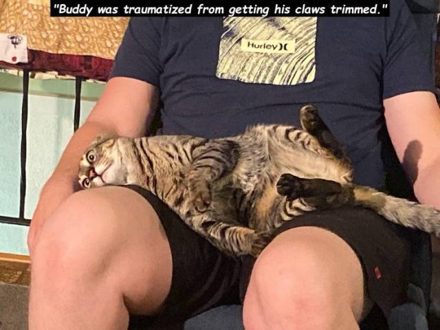 Acid Picdump. Part 1 (73 pics)