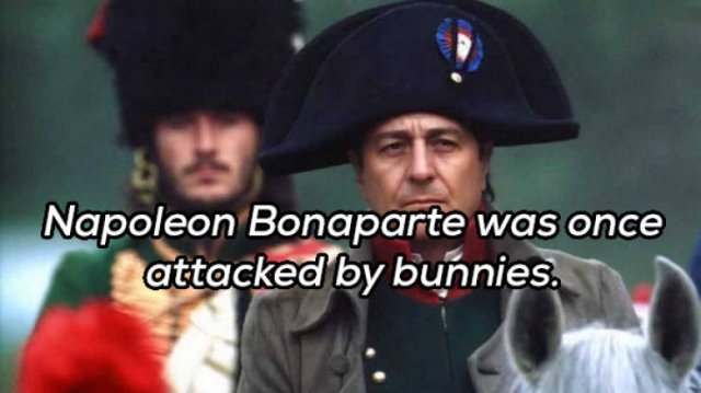 Real Historical Facts (20 pics)