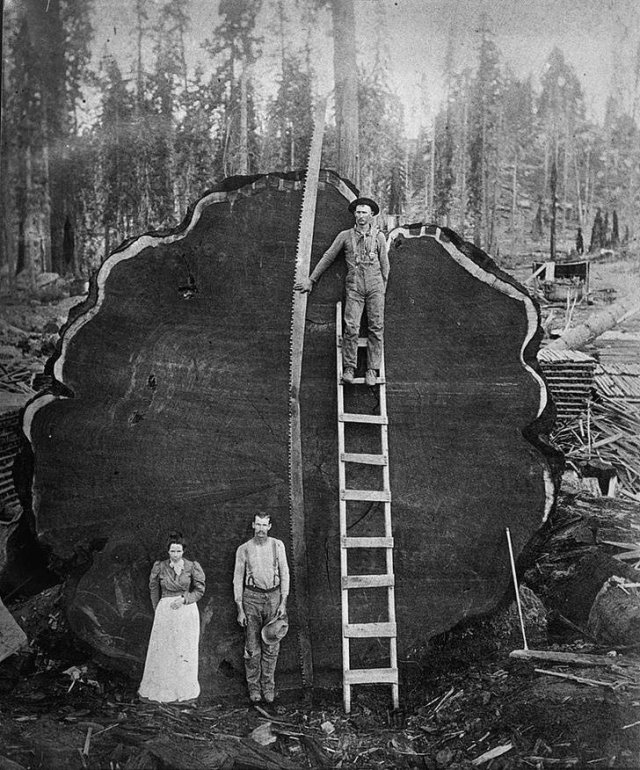 Interesting Historical Moments (16 pics) Interesting Historical Moments (16 pics)
