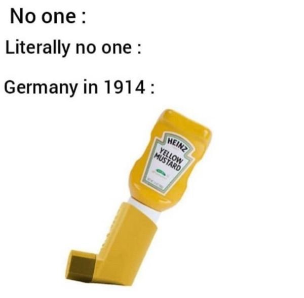History Inspired Memes (25 pics)