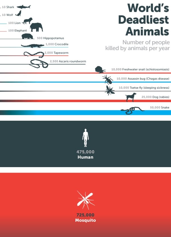 Educational Infographics And Facts (26 pics)