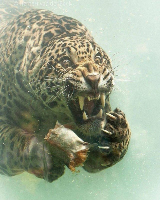 Acid Picdump. Part 1 (103 pics)