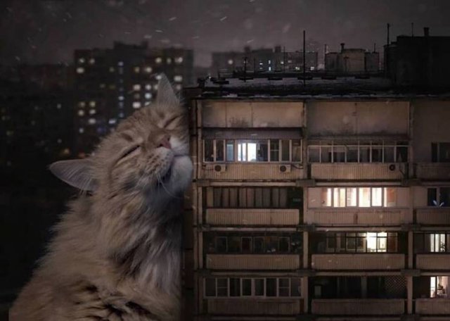 Acid Picdump. Part 1 (103 pics)