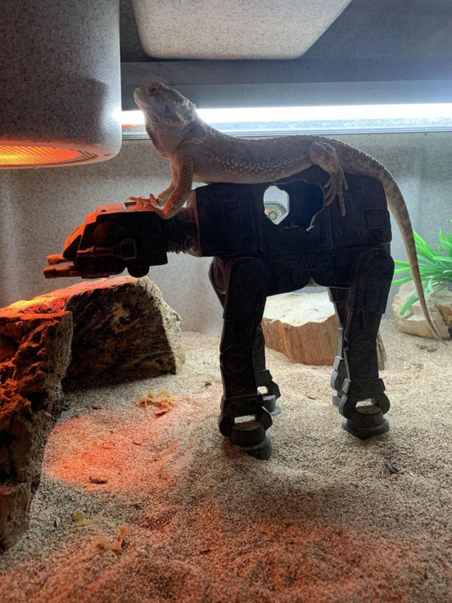 Acid Picdump. Part 2 (103 pics)