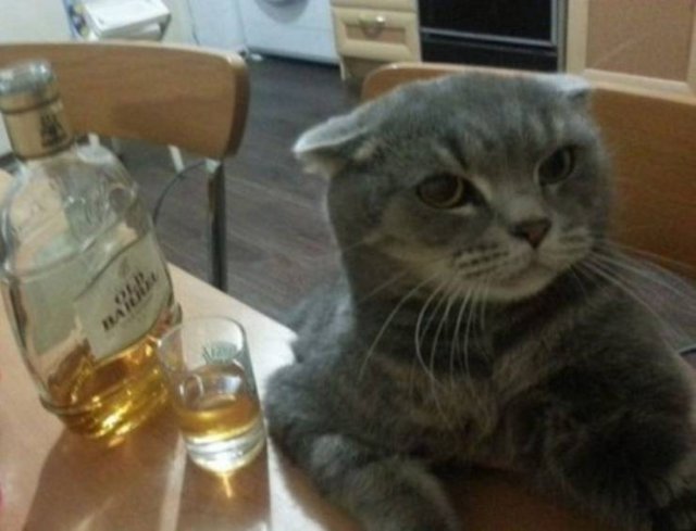 Acid Picdump. Part 1 (103 pics)