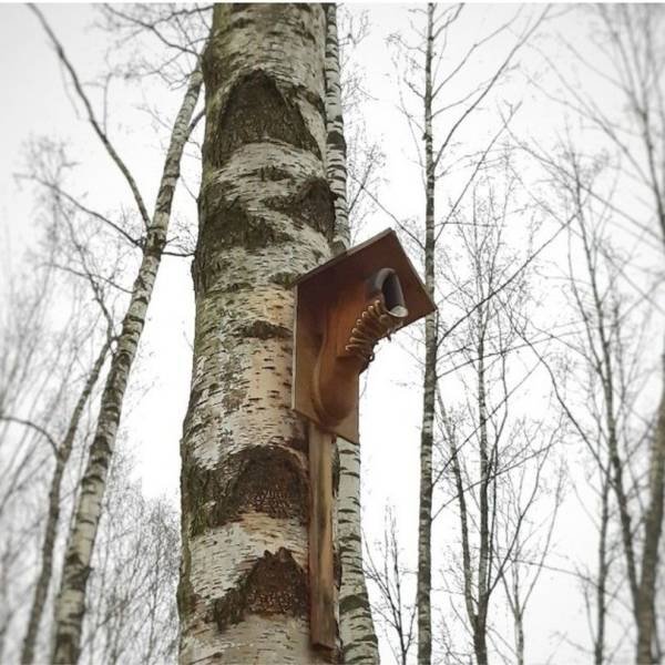 Acid Picdump. Part 1 (103 pics)