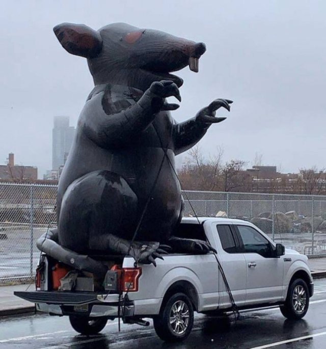 Acid Picdump. Part 1 (103 pics)