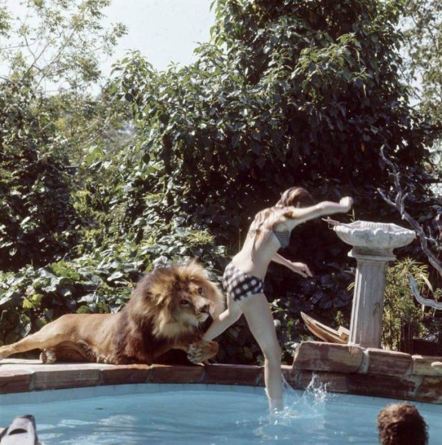 Acid Picdump. Part 1 (103 pics)