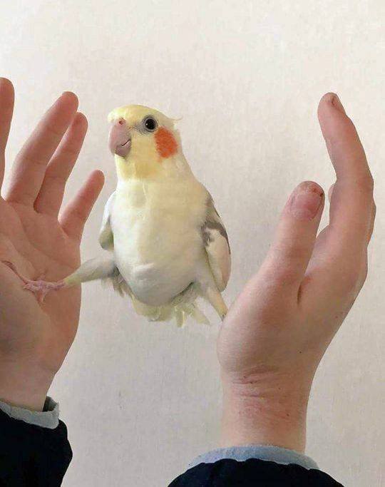 Acid Picdump. Part 1 (103 pics)
