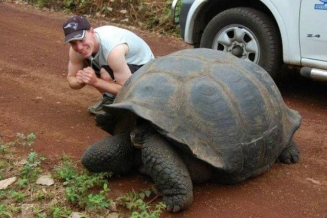 Acid Picdump. Part 1 (103 pics)