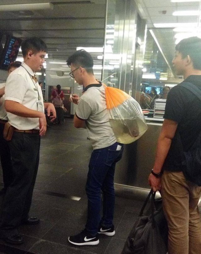 Acid Picdump. Part 1 (103 pics)