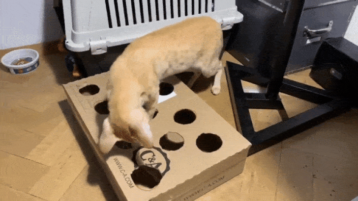 Problem Solved (20 pics)