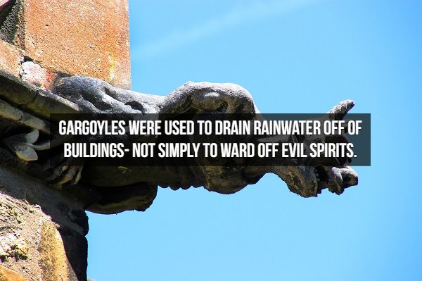 Interesting Middle Ages Facts (17 pics)
